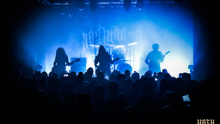 LIVE-REPORT - Der Weg Einer Freiheit 