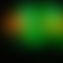 LIVE-REPORT - Battle In The Nord (The Black Lab)