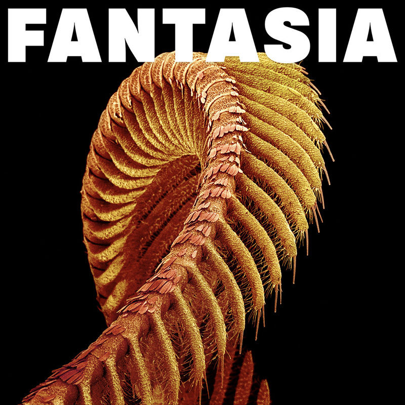SLIFT - Fantasia