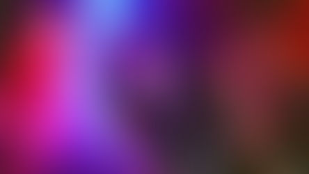 LIVE-REPORT - Wildfest 