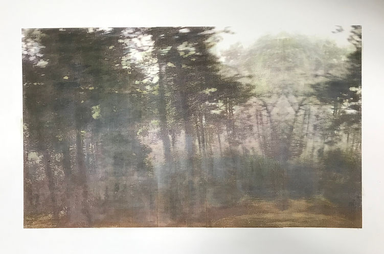 IMG_6864 - Catherine Schvartz.jpg