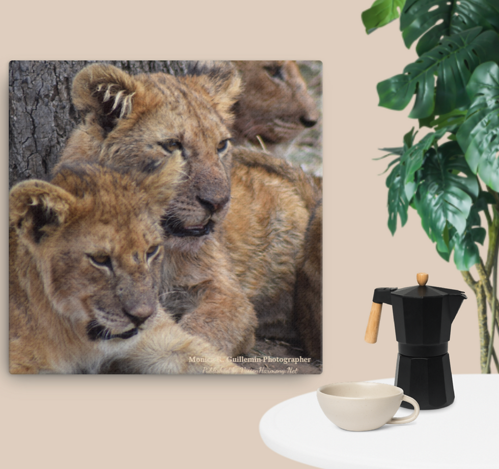 Thumbnail: Lion Cubs of Serengeti 12 x 12