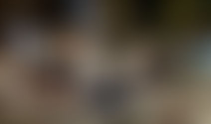 "In the Kitchen's Kingdom: Where Chefs Reign Supreme"