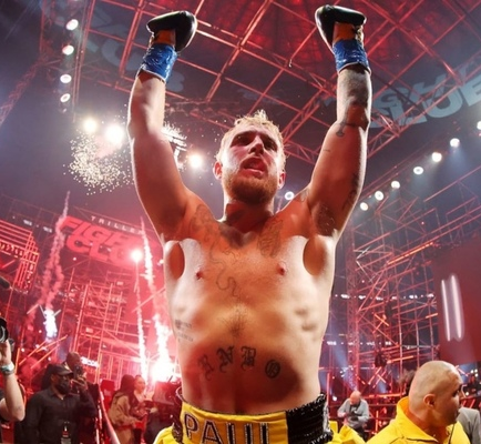 boxer