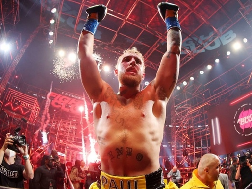 boxer