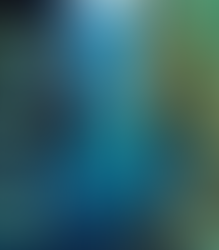 UFC Fight Night: Cannonier vs. Rodrigues slibuje napínavé souboje