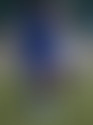 DJK-Triumph am Derbytag