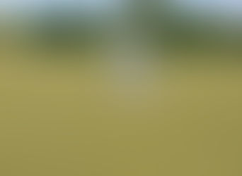 Wiederholter Aufruf bezüglich Regeln und Ordnung im DJK Sportpark