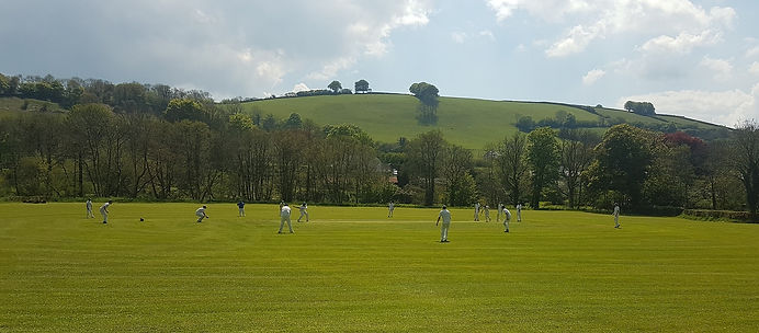 cricket.jpg