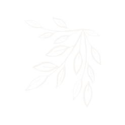 scroll_design