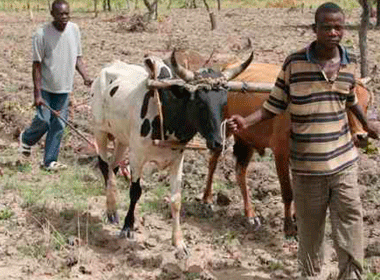 Compagnons du Burkina