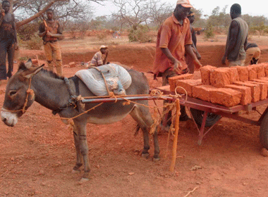 Compagnons du Burkina