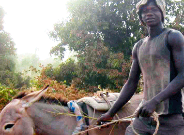 Compagnons du Burkina