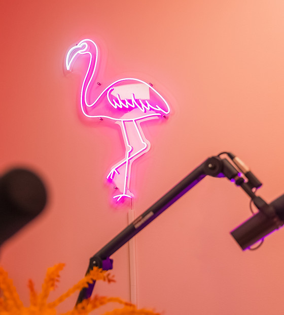 Flamingo Room Sacramento Creative Studios