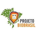 Design sem nome - 2021-10-15T173454.804.png