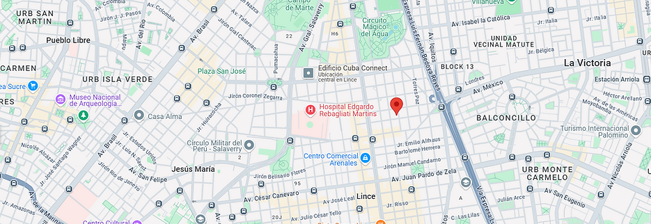 Captura de pantalla 2024-12-03 112453.png