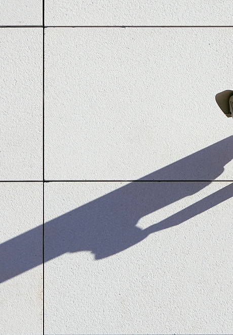 Security Surveillance