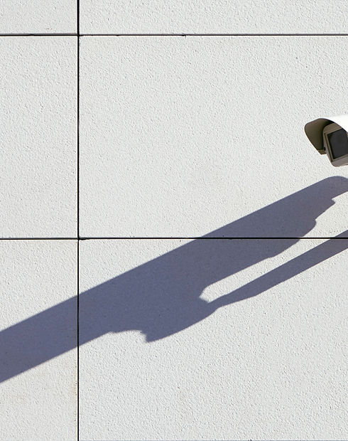 Security Surveillance
