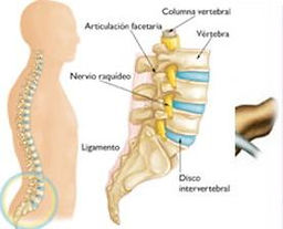Dr.Bernardo Herrera Juarez, Columna, Traumatologo, Oaxaca