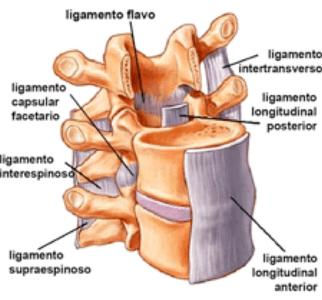 Dr.Bernardo Herrera Juarez, Columna, Traumatologo, Oaxaca