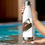 Miniatura: BOTELLA de AGUA de ACERO INOXIDABLE, DISEÑO BBartBB