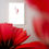 Miniatura: ABSTRACCIÓN 6, Acrílico rojo/papel, Begoña Barber, BBartBB