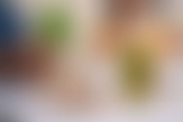 (SF394) Passivhaus: Descubriendo el Estándar de Eficiencia Energética en la Construcción