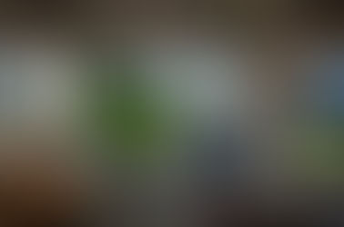 (SF382) Diseño BiofÃlico en el Hogar: Creando Espacios Saludables y Armoniosos