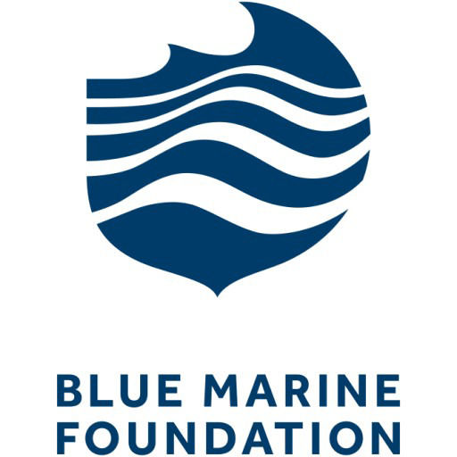 Blue Marine Foundation saves time and money with automatic reporting in Dynamics 365 Business Central