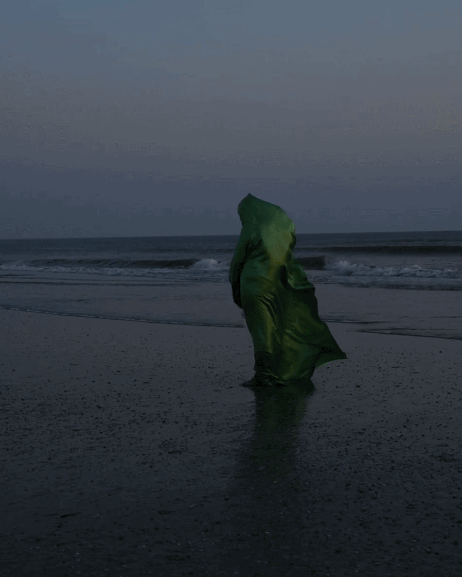 DSC_1275 2.gif