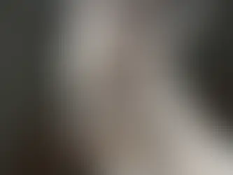 Cachemira: Origen, características y como cuidar un abrigo de cachemir.