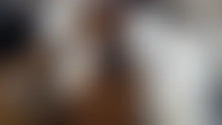 Manada de alpacas en los Andes Peruanos