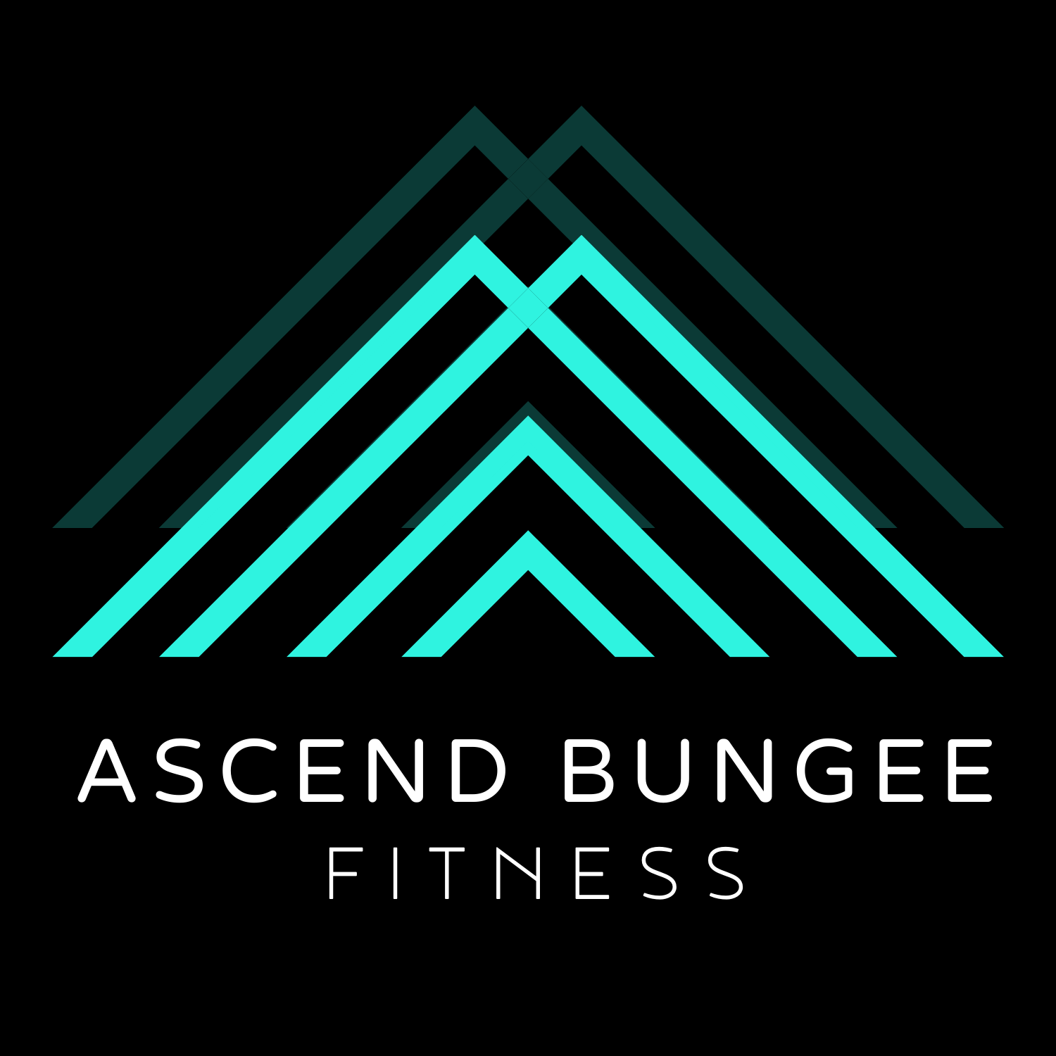 Ascend Bungee Fitness