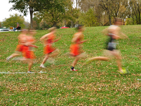 North Cotswold Primary School District Cross Country Championships