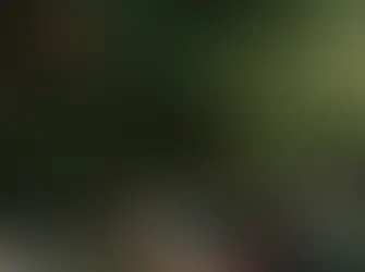 Luxury Homes In Mahindra Rain Forest Bhandup