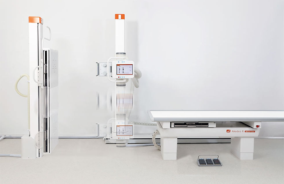 Amadeo R system1.jpg