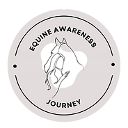 Equine Awareness Journey