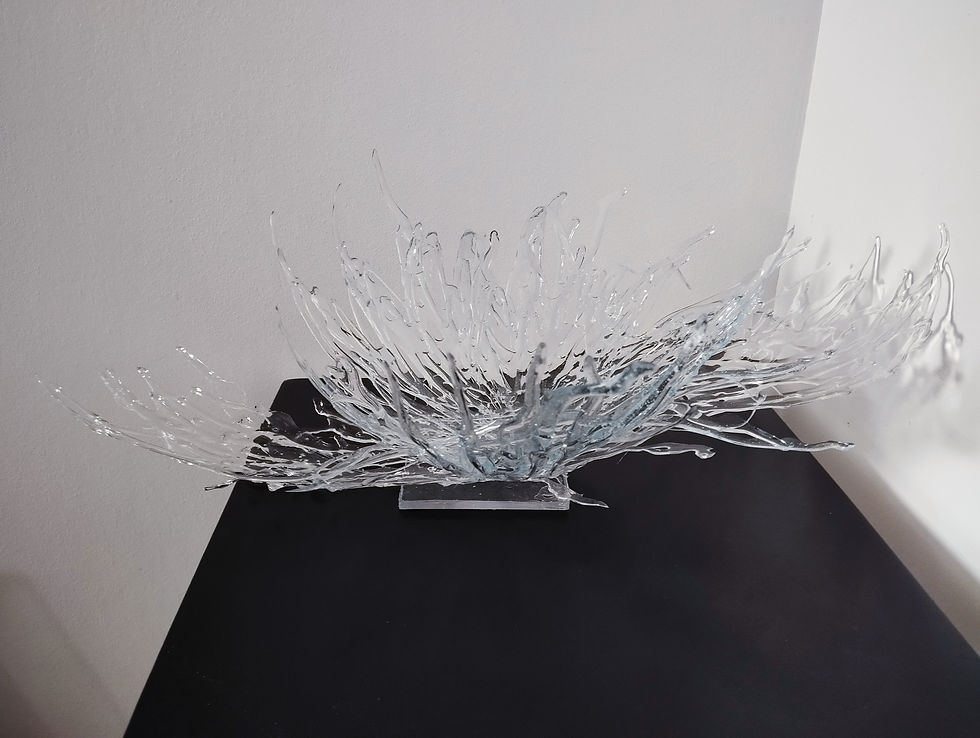 Nest