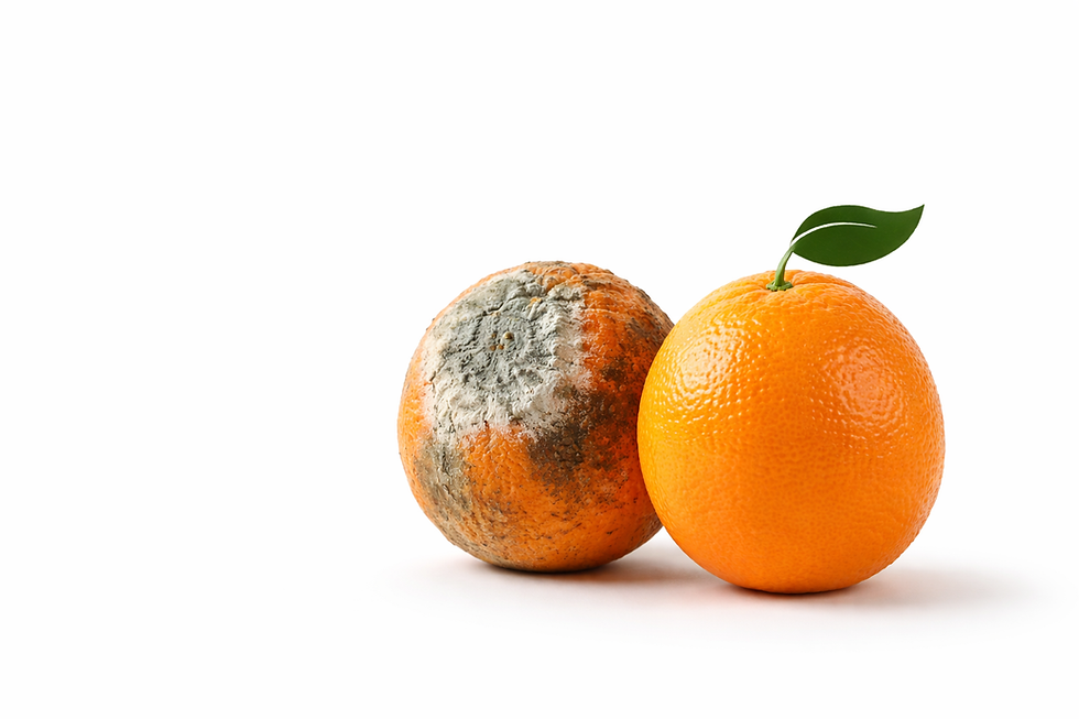 ChatGPT Image 27. jan. 2026, 17.20.34.png