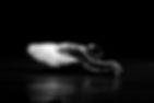 LU5A4284untitled_edited.jpg
