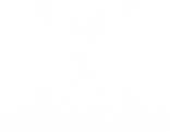 Xwebstudio
