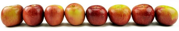 Picture3.jpg