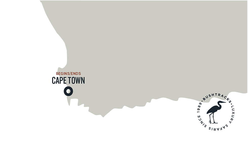 Cape Town - The Portswood Hotel