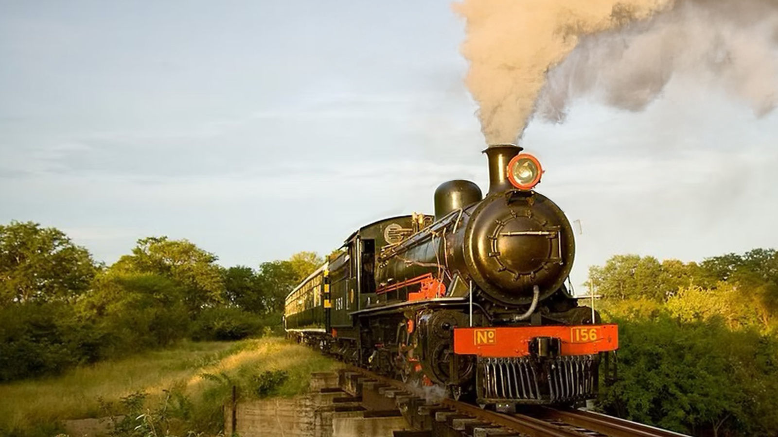 Royal Livingstone Express image 2