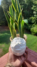 Thumbnail: Whipped Body Butter