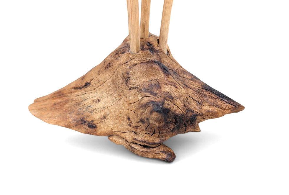 Thumbnail: Natural mushroom cluster displayed on a mantel