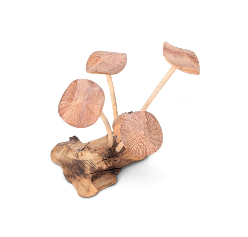 Thumbnail: Hand-carved wooden mushrooms arranged in a compact group