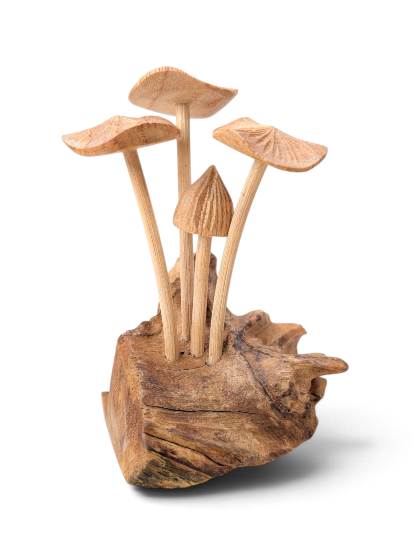 Rustic hand-carved natural wood mushroom cluster