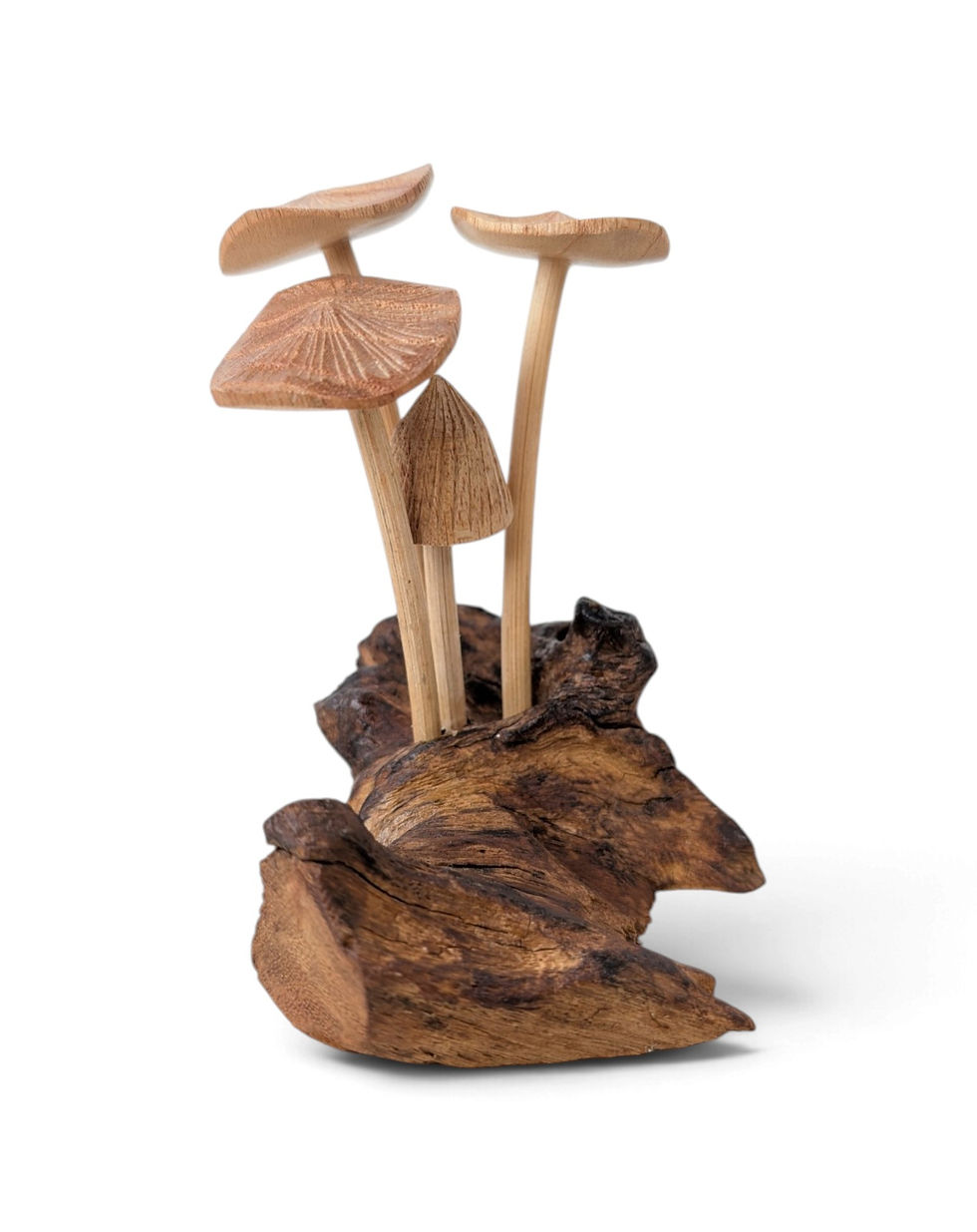 Thumbnail: Hand-carved wooden mushrooms arranged as a small grove