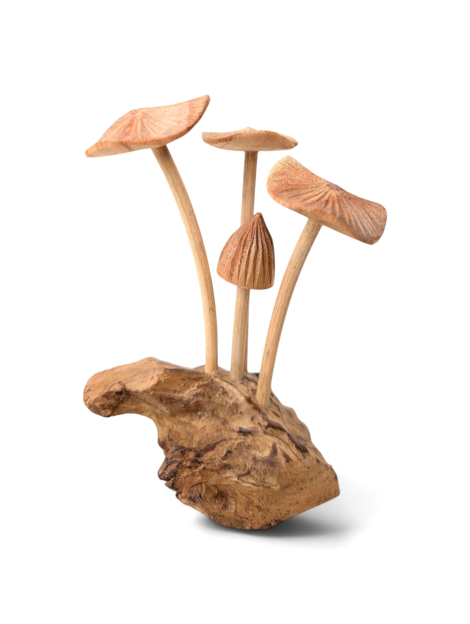 Rustic hand-carved natural wood mushroom cluster